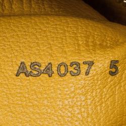 Pre Owned Louis Vuitton Crocodile Lockit PM Bag