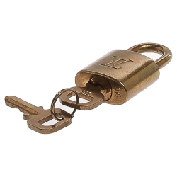 Pre Owned Louis Vuitton Damier Ebene Canvas Speedy 30 Bag