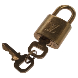 Pre Owned Louis Vuitton Damier Ebene Canvas Speedy 30 Bag