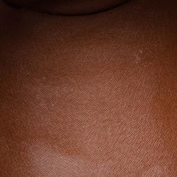 مملوكة مسبقًا Louis Vuitton Monogram Canvas Papillon Handbag