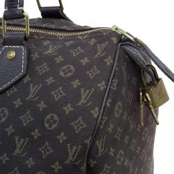 Pre Owned Louis Vuitton Monogram Mini Lin Speedy 30