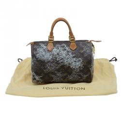 Louis Vuitton Monogram Canvas Dentelle Speedy 30