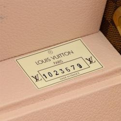 Louis Vuitton Limited Edition Damier Ebene Canvas Boite Flacons Beauty Cosmetic Trunk Case