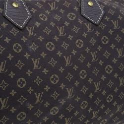 Pre Owned Louis Vuitton Monogram Canvas Mini Lin Speedy 30