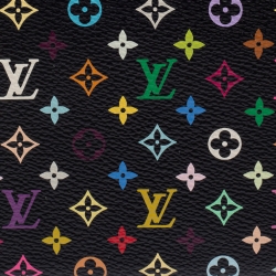 مملوكة مسبقًا محفظة لوي فيتون سحاب كانفاس مونوغرامية متعددة الألوان سوداء