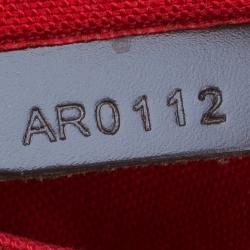 Pre Owned حقيبة يد توت لوي فيتون كاباس روزبري دامير كانفاس إيبيني