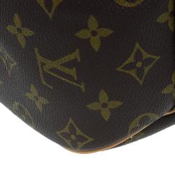 Louis Vuitton Monogram Canvas Excursion Shoe Bag