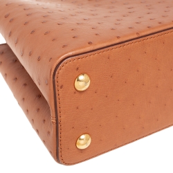 مملوكة مسبقًا Louis Vuitton Tan Ostrich Leather Capucines PM Bag