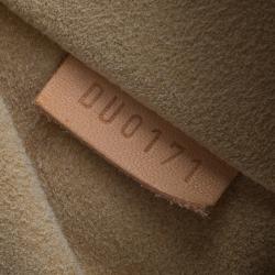 Pre Owned حقيبة لوي فيتون إيفورا كانفاس أزور دامييه MM