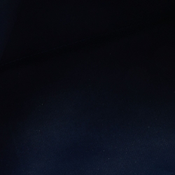 مملوكة مسبقًا حقيبة لوي فيتون ألما فيرنيه مونوغرامي باورد بيج PM