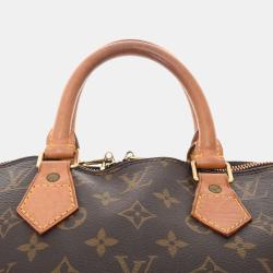 Pre Owned Louis Vuitton Brown Monogram Canvas Alma PM Bag