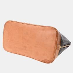 Pre Owned Louis Vuitton Brown Monogram Canvas Alma PM Bag