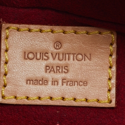 Pre Owned Louis Vuitton Monogram Canvas Viva Cite MM Bag