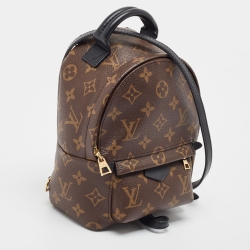 Pre Owned Louis Vuitton Monogram Canvas Mini Palm Springs Backpack