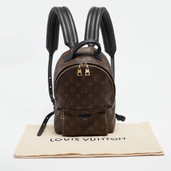 Pre Owned Louis Vuitton Monogram Canvas Palm Springs PM Backpack