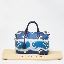 Pre Owned حقيبة لوي فيتون سبيدي باندولير 30 كانفاس جاينت بيج/كاكي مونوغرامي