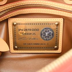 Louis Vuitton Blue Monogram Speedy P9 Bandoulière 25 Handbag