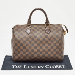 Pre Owned Louis Vuitton Damier Ebene Canvas Speedy 30 Bag