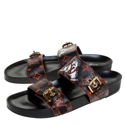 Louis Vuitton Monogram And Cat Canvas Bom Dia Flat Mules Size 41