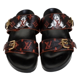 Louis Vuitton Monogram And Cat Canvas Bom Dia Flat Mules Size 41