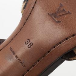 مملوكة مسبقًا Louis Vuitton Brown Damier Sauvage Pony Hair Mules Size 38