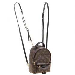 مملوكة مسبقًا Louis Vuitton Monogram Canvas Mini Palm Springs Backpack
