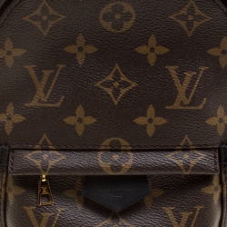 مملوكة مسبقًا Louis Vuitton Monogram Canvas Mini Palm Springs Backpack