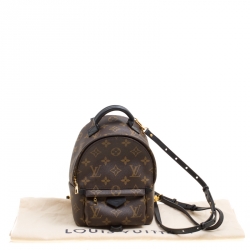 مملوكة مسبقًا Louis Vuitton Monogram Canvas Mini Palm Springs Backpack
