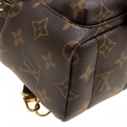مملوكة مسبقًا Louis Vuitton Monogram Canvas Mini Palm Springs Backpack
