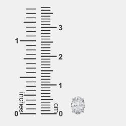 Pre Owned 14K Oval Cut Solitaire Lab Grown Diamonds Earrings (3/4 Ctw)