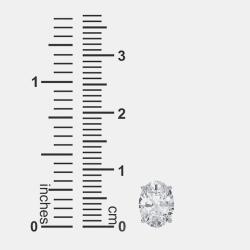 Pre Owned 14K Oval Cut Solitaire Lab Grown Diamonds Earrings (3/4 Ctw)