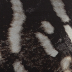 Pre Owned Max Mara Abstract Animal Print Nylon Jersey Long Sleeve Sheer Top S