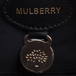 Pre Owned Mulberry Tricolor Suede and Leather Delphie Duo Flap Shoulder Bag