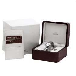 Omega Silver Stainless Steel Seamaster Aqua Terra 2577.30.00 Women's Wristwatch 29 mm