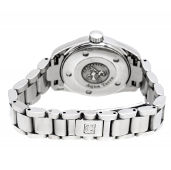 Omega Silver Stainless Steel Seamaster Aqua Terra 2577.30.00 Women's Wristwatch 29 mm