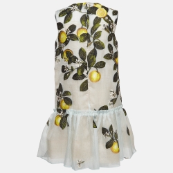 Pre Owned Oscar de la Renta Blue Embroidered Silk Blend Ruffle Hem Shift Dress M