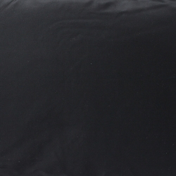 Prada Black Nylon Garment Case