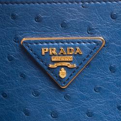 Pre Owned Prada Blue Ostrich Double Handle Tote