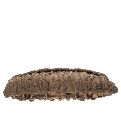 Pre Owned Prada Brown Cloquet Fabric Folders Clutch