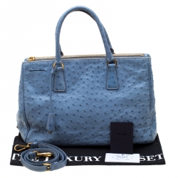 Pre Owned Prada Light Blue Ostrich Medium Double Zip Tote