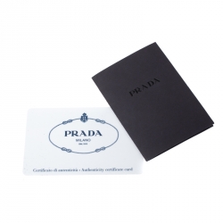 Pre Owned Prada Off White/Blue Printed Canvas Large Canapa Tote