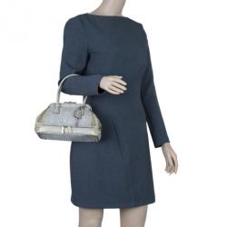 Pre Owned Prada Beige Lizard Leather Mini Bag