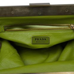 Pre Owned Prada Green and Brown Python Framed Shoulder Bag