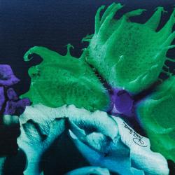 مملوكة مسبقًا تنورة روبرتو كافالي ماكسي حرير طباعة زهور متعددة الألوان M