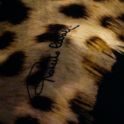 Pre Owned Roberto Cavalli Black & Brown Leopard Printed Silk Scarf