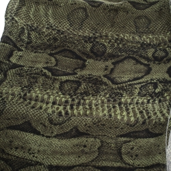مملوكة مسبقًا Roberto Cavalli Green Snake Skin Print Silk Stole