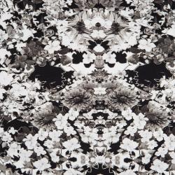 Pre Owned تنورة روبرتو كافالي ماكسي خصر مطاطي طباعة زهور سوداء S