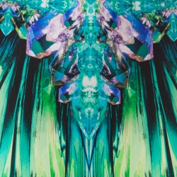 Pre Owned Roberto Cavalli Black Fluorite Crystal Printed Silk Maxi Skirt S