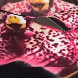 Pre Owned Roberto Cavalli Black Floral Printed Stretch Knit Top and Maxi Skirt Set M