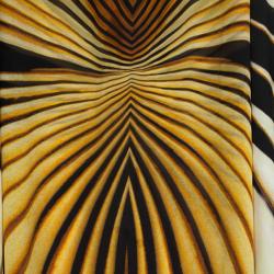 Pre Owned Roberto Cavalli Tiger Print Short Kaftan S
